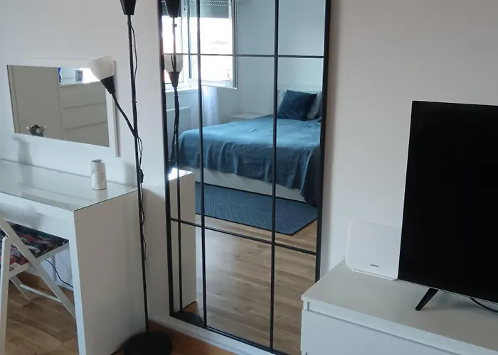 Apartment Petica Novi Sad